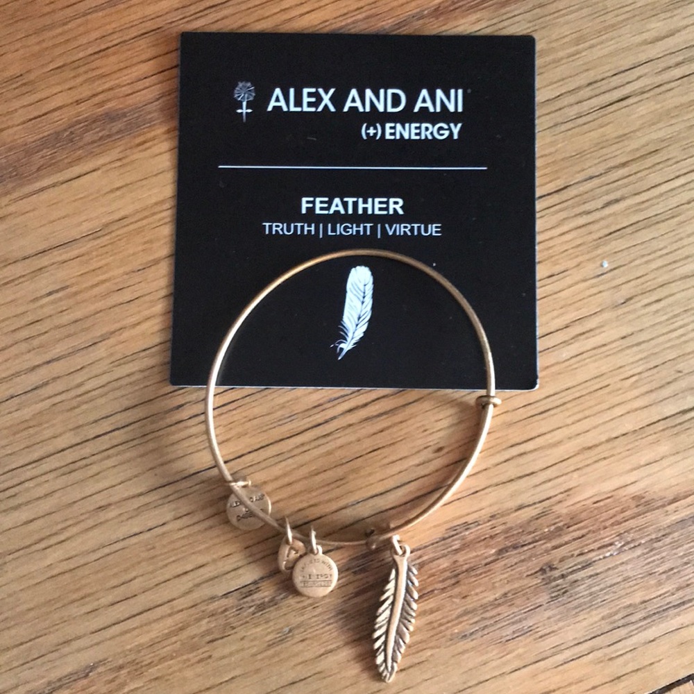 Alex and Ani Charm Bracelet